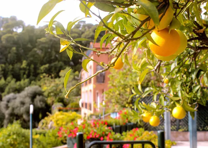 Le Stanze Della Musica Appartement Latte